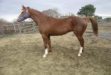 ���� ����