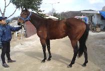 ������Ʈ (SMALL JET) ����