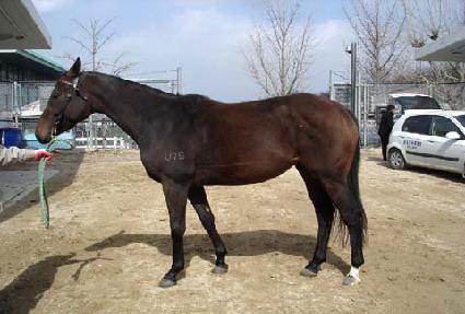 õ�߱�� ����