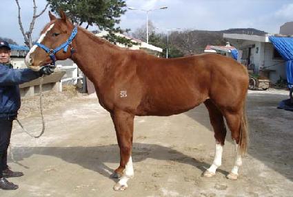 ��Ÿ�� ����