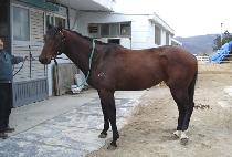 ĳ���۷��̵� (CASH PARADE) ����