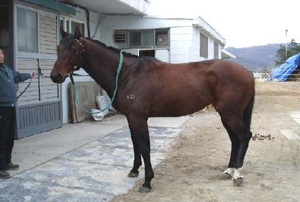 ĳ���۷��̵� ����