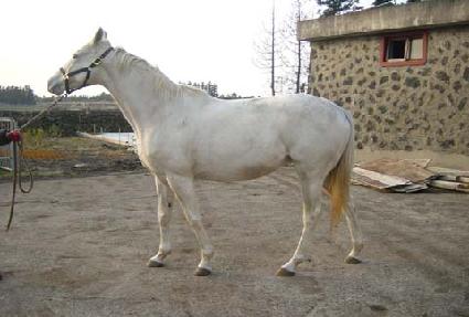 �̱۷ξ��� ����