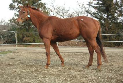 �н���� ����