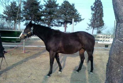 ���縮���� ����