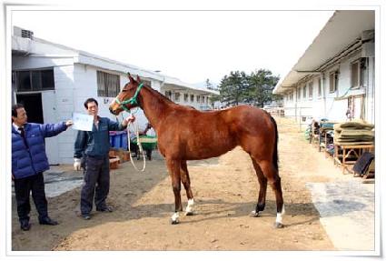 ȯ���ȭ ����