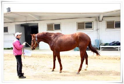 �������� ����