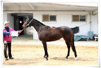 ��Ű���� ����