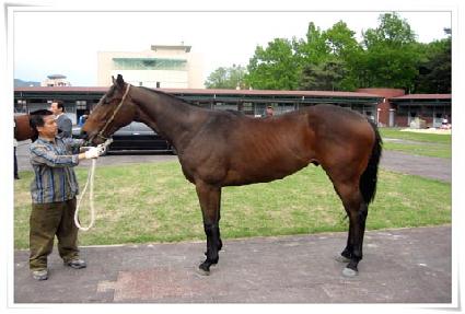 �¾�ž ����