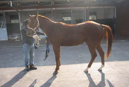 Į����Ŷ ����