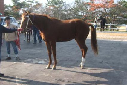 Ȳ����ǳ ����