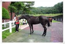 ��ã�� (KKUMCHAJA) ����