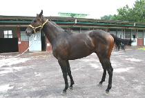 ����ź�� (JEWANG TANSAENG) ����