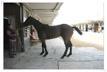 �ٴ��Ǻ� (BADAUIBYEOL) ����