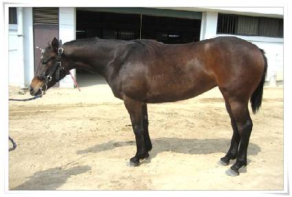 õ�ݸ��� ����