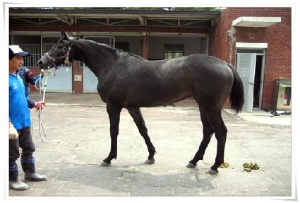 ���ڰ� ����