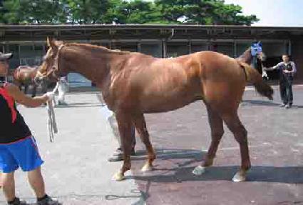 �ƽþ���ũ ����