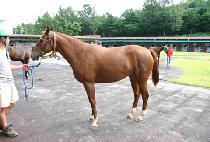 �������� (BYEOLBITCHALLAN) ����