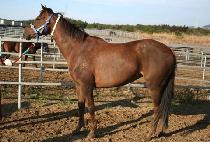 Ű����꼱�� (KISS OF THUNDER) ����