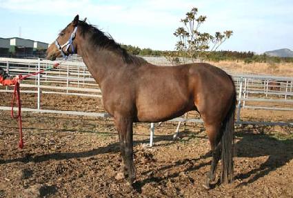 Ÿ�Ӹ����� ����