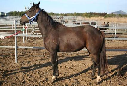 ��ġ�������� ����