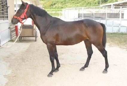 ���ο��� ����