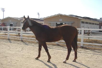 Ư���� ����