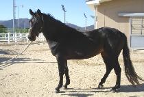 �ְ��ô� (CHOEGANG SIDAE) ����