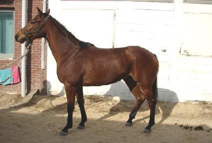 �ϸƻ��� ����