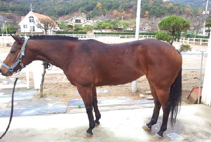 ���� ����