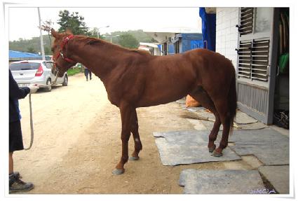 õ���� ����