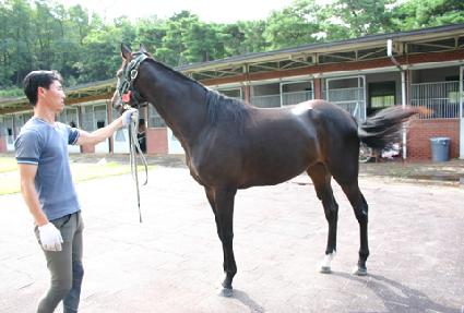 ���л�� ����