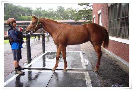 ���عٴ� ����