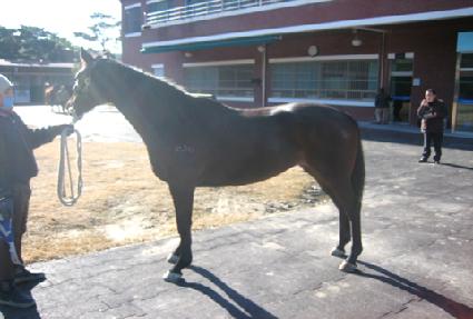 �ʸ���� ����