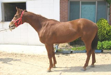 �¸� ����