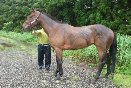 Ž��ȯ�� ����