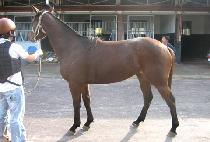 ���갡�� (LOVE GUY) ����