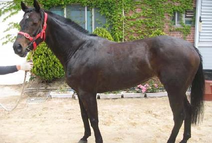 �Ѹ� ����