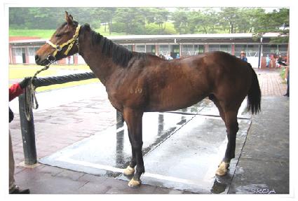 �̺�Ʈ ����