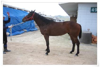 ���ݽô� ����