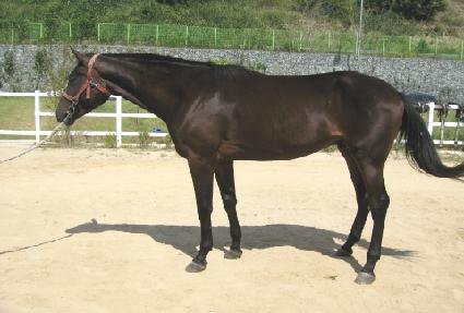 ȯ��Ŀ�� ����