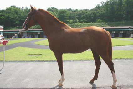 �ݺ���ä ����