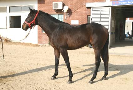 ��Ʈ��Ÿ ����