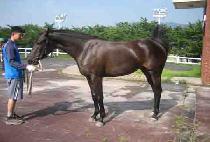 Ʈ���ð��� (TRIPLE GAMDONG) ����