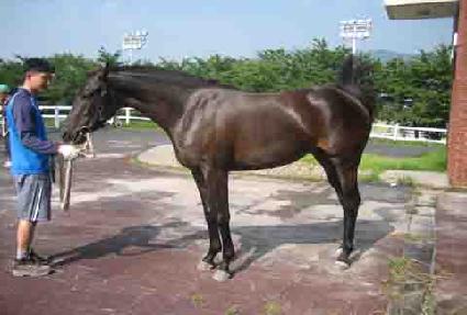 Ʈ���ð��� ����