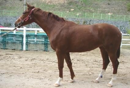 Ȳ�ݾ� ����