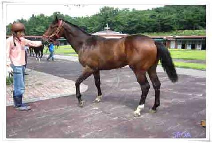 ����ī������ ����