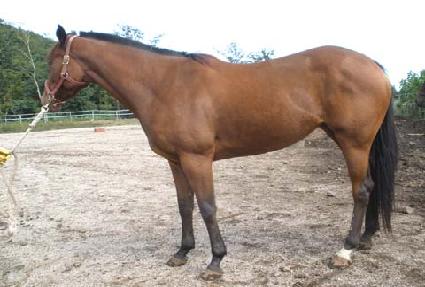 �߿켺 ����