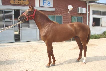 Ʈ���ö��̴� ����