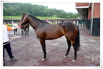 �̼ҿ��� ����